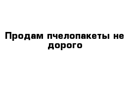 Продам пчелопакеты не дорого